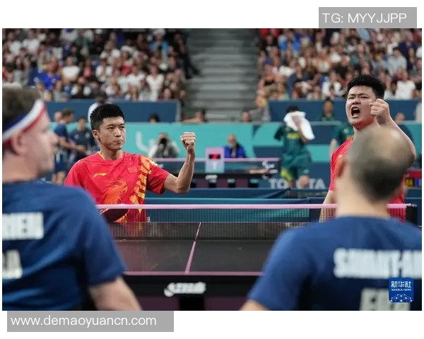 乒乓球运动员的奋斗与荣耀：从青涩少年到世界冠军的成长之路